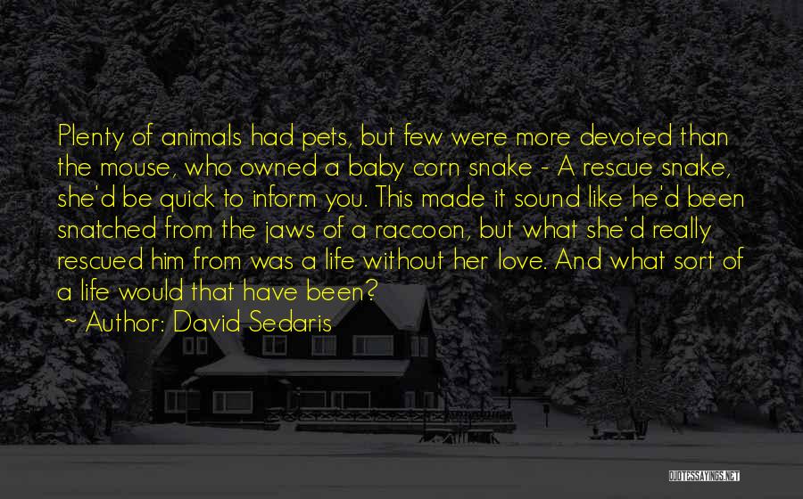 Raccoon Quotes By David Sedaris