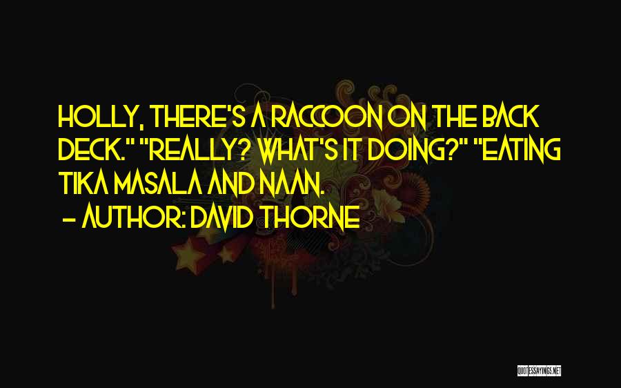 Raccoon Quotes By David Thorne