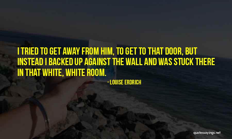 Race America Quotes By Louise Erdrich Race America Quotes By Louise Erdrich