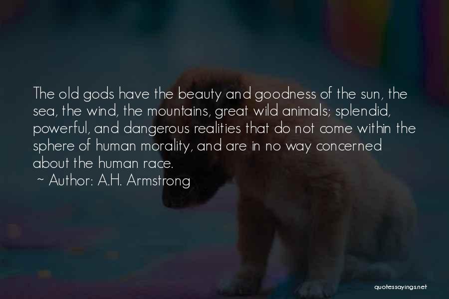 Race And Beauty Quotes By A.H. Armstrong