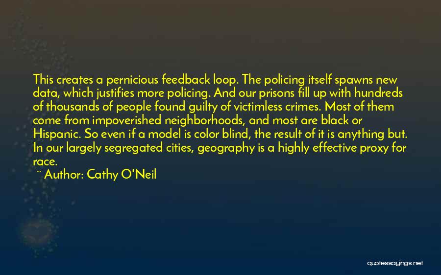 Race And Color Quotes By Cathy O'Neil