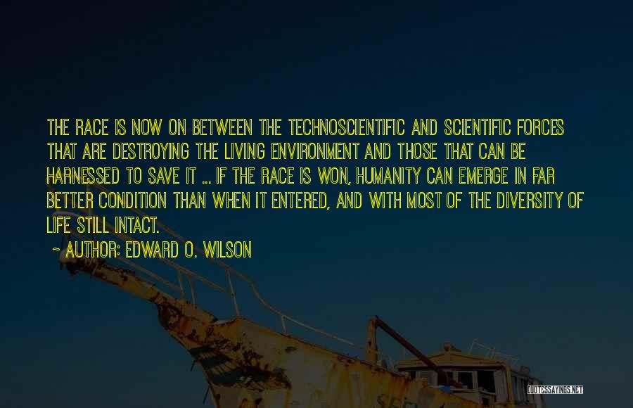 Race And Diversity Quotes By Edward O. Wilson