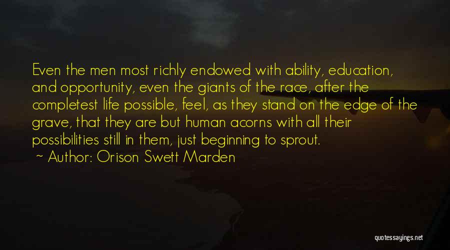 Race And Education Quotes By Orison Swett Marden