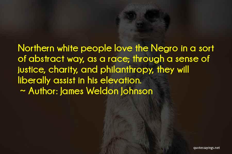 Race And Justice Quotes By James Weldon Johnson