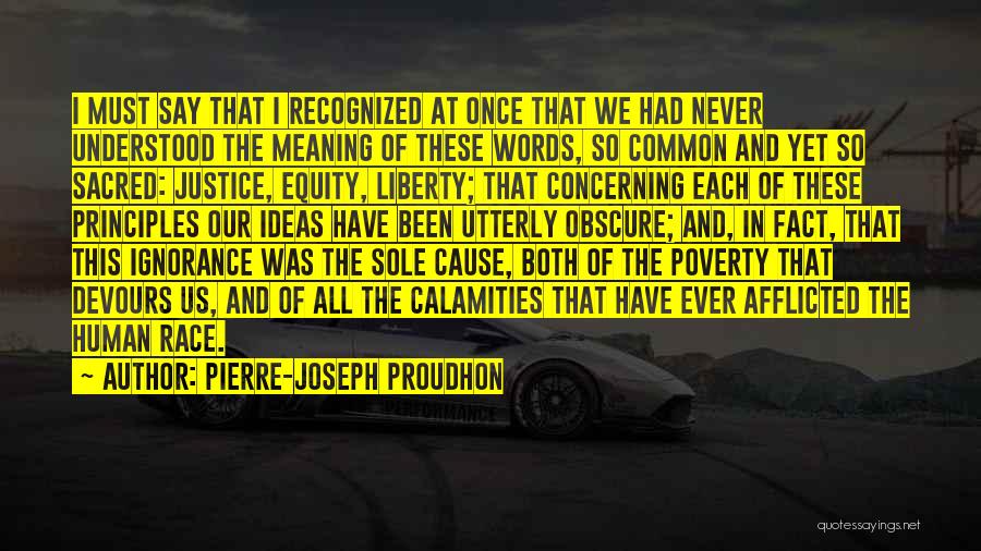 Race And Poverty Quotes By Pierre-Joseph Proudhon