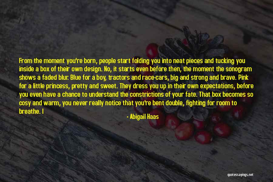 Race Cars Quotes By Abigail Haas