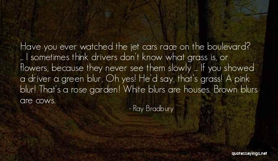 Race Cars Quotes By Ray Bradbury