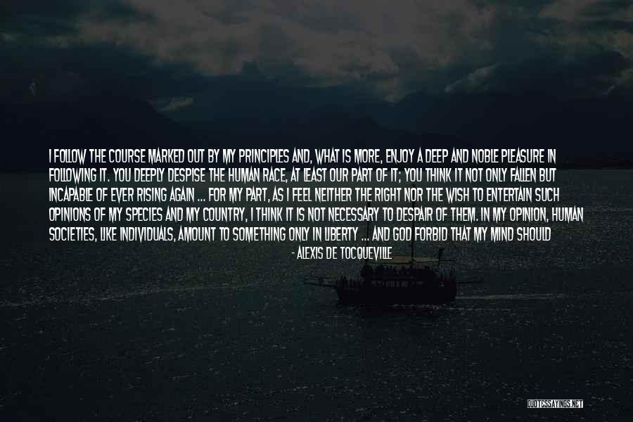 Race To Success Quotes By Alexis De Tocqueville Race To Success Quotes By Alexis De Tocqueville