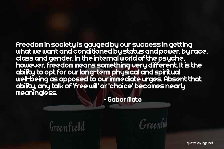 Race To Success Quotes By Gabor Mate