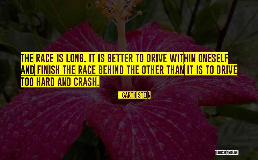 Race To The Finish Quotes By Garth Stein Race To The Finish Quotes By Garth Stein