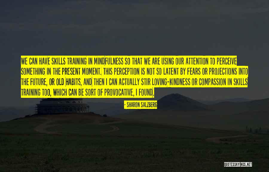 Racebil Quotes By Sharon Salzberg