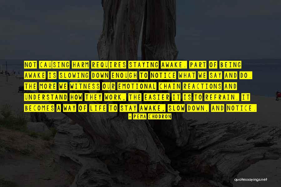 Racecourse Marina Quotes By Pema Chodron Racecourse Marina Quotes By Pema Chodron
