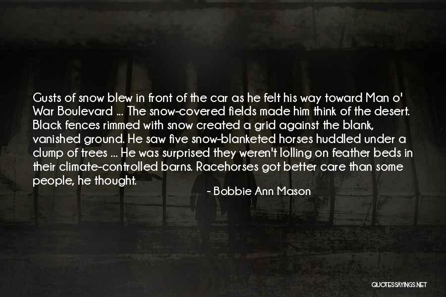 Racehorses Quotes By Bobbie Ann Mason