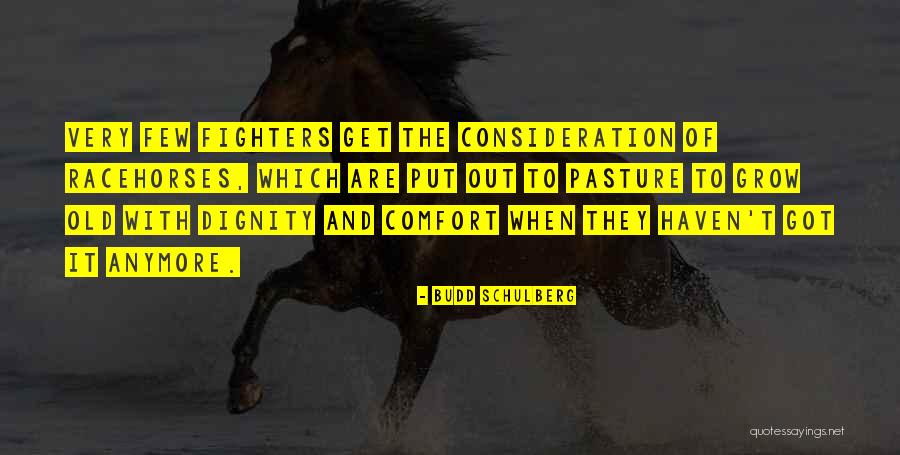 Racehorses Quotes By Budd Schulberg