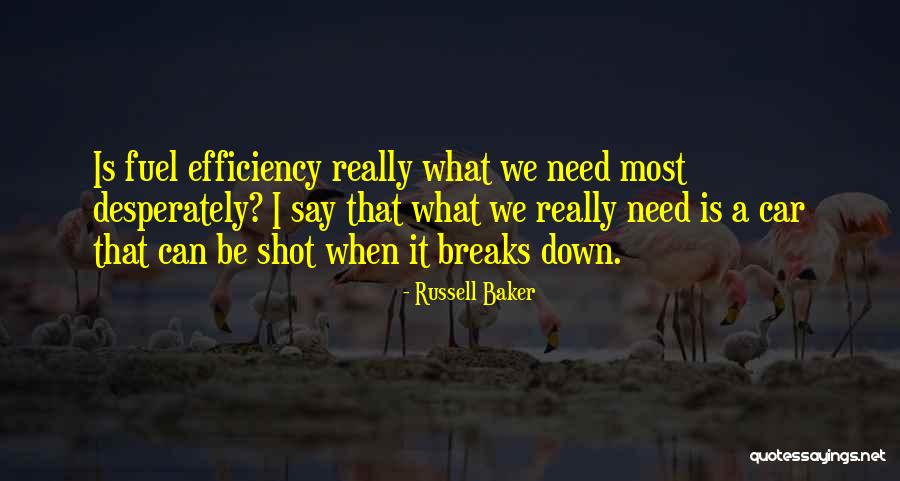 Racemes Vs Panicle Quotes By Russell Baker Racemes Vs Panicle Quotes By Russell Baker