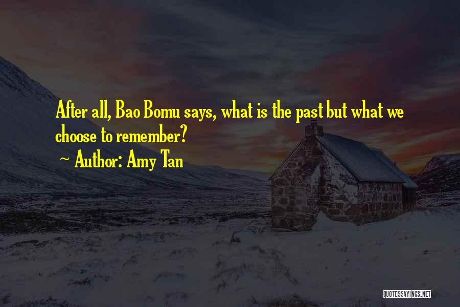 Racewerkz Quotes By Amy Tan