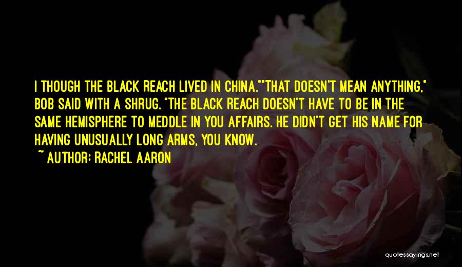 Rachel Aaron Quotes 1032976