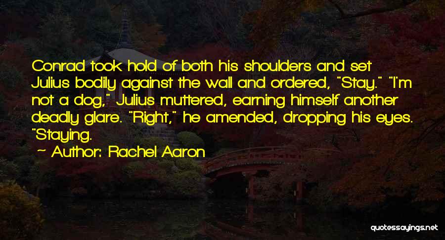 Rachel Aaron Quotes 86690