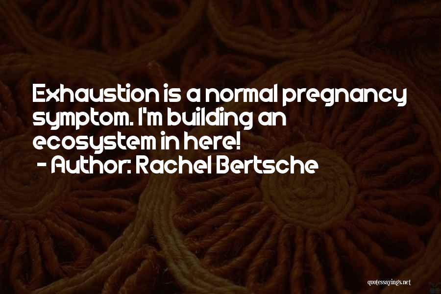 Rachel Bertsche Quotes 1485852