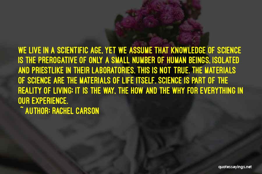 Rachel Carson Quotes 1044586