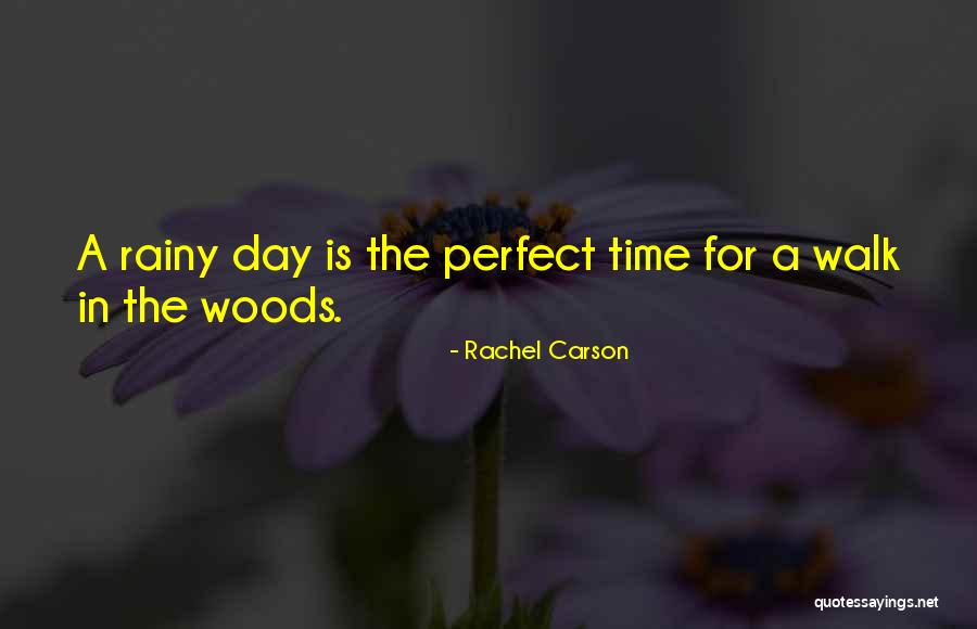 Rachel Carson Quotes 1202560