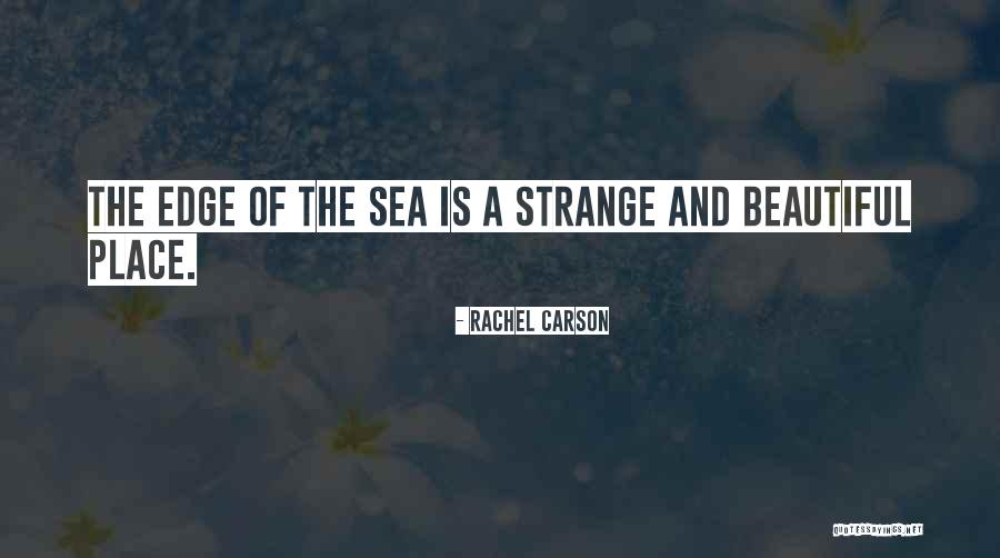 Rachel Carson Quotes 128655