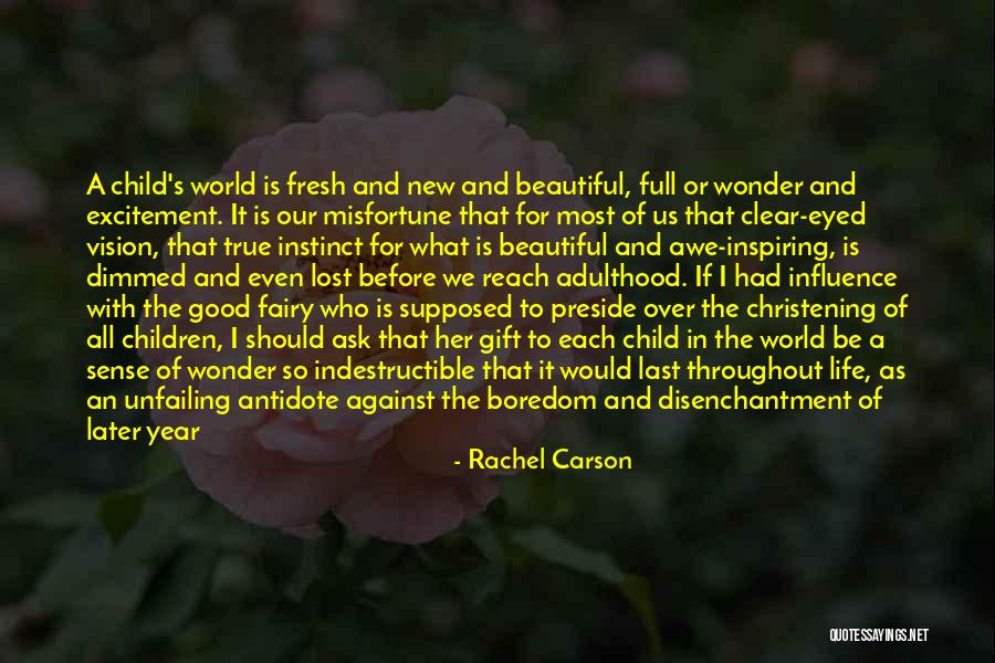 Rachel Carson Quotes 1301582 Rachel Carson Quotes 1301582