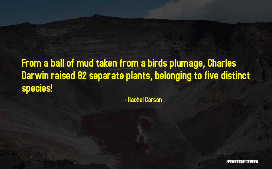 Rachel Carson Quotes 1360164