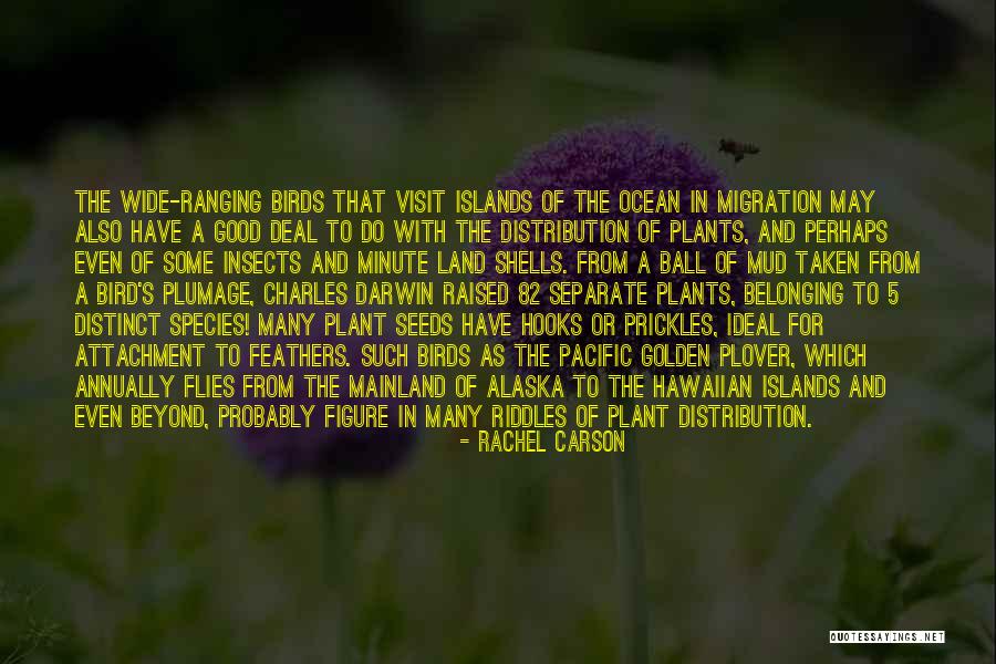 Rachel Carson Quotes 1419804 Rachel Carson Quotes 1419804