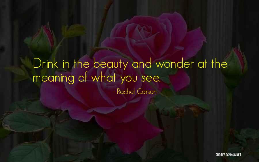 Rachel Carson Quotes 1496050 Rachel Carson Quotes 1496050