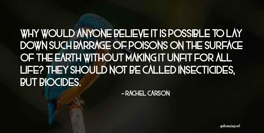 Rachel Carson Quotes 152351