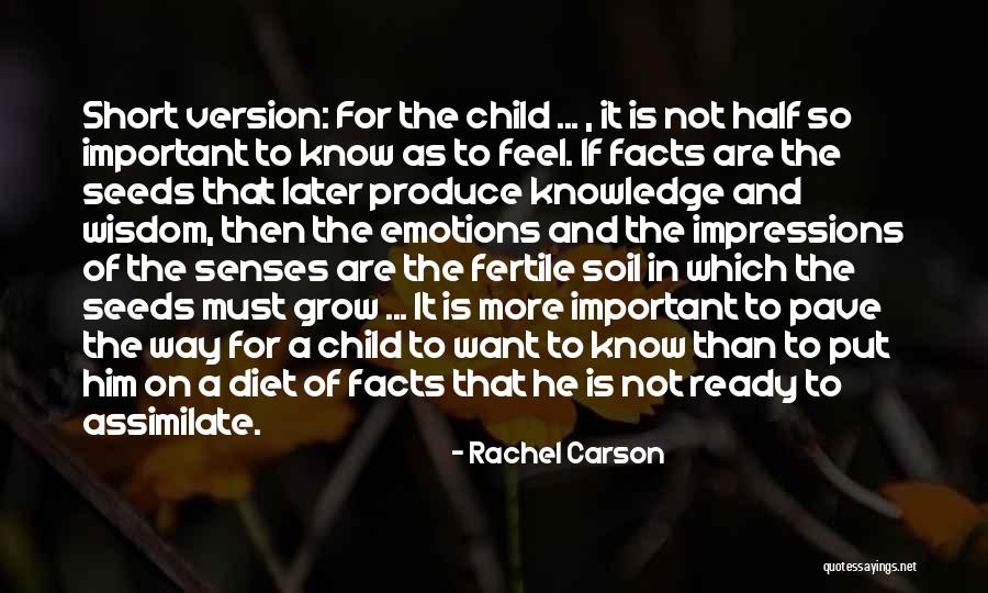 Rachel Carson Quotes 1636911