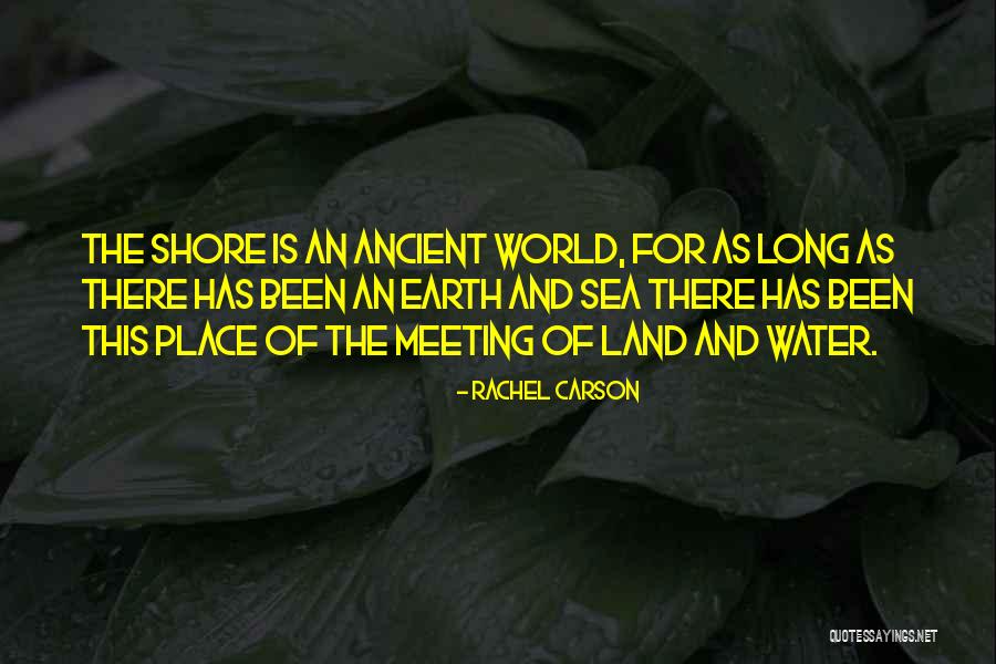 Rachel Carson Quotes 1647590