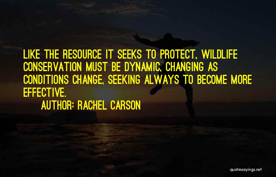 Rachel Carson Quotes 2059086