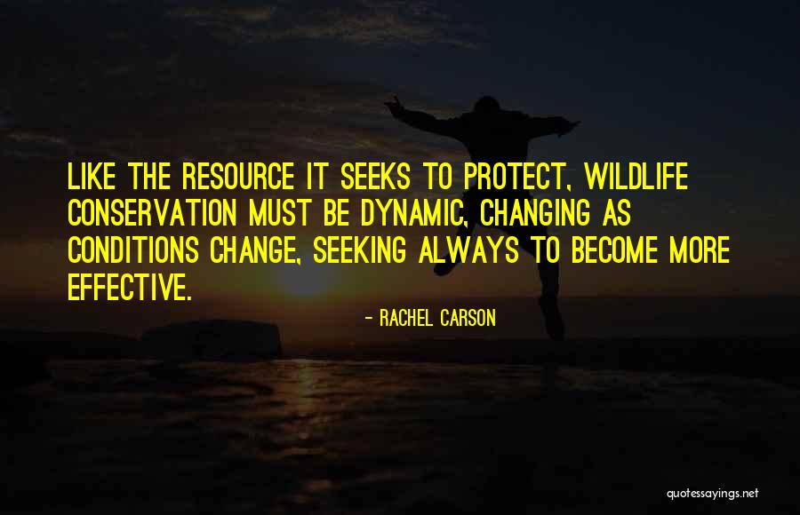 Rachel Carson Quotes 2059086