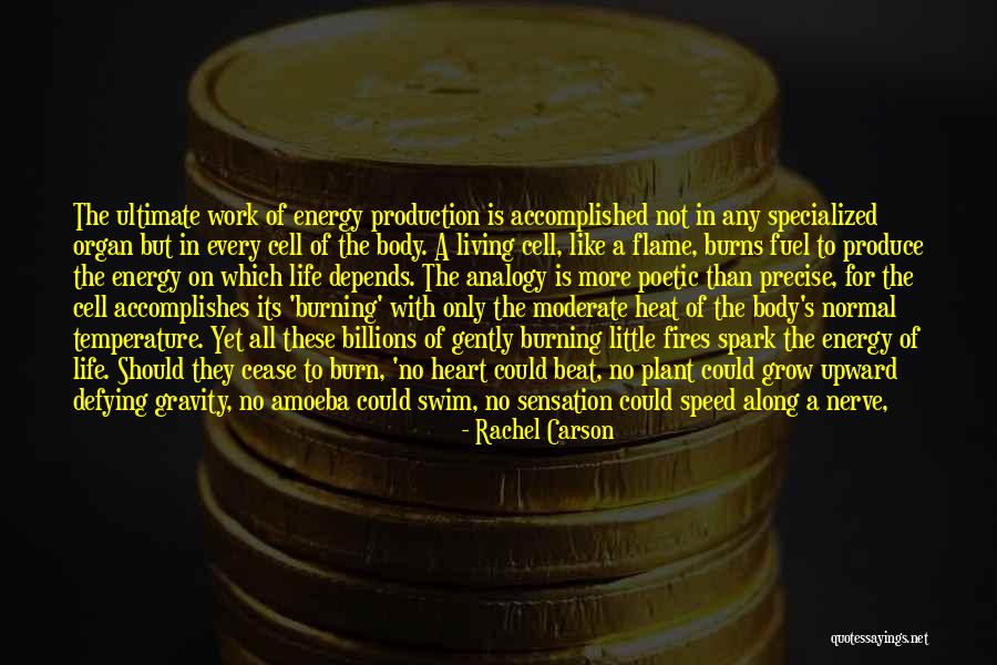 Rachel Carson Quotes 2100764 Rachel Carson Quotes 2100764