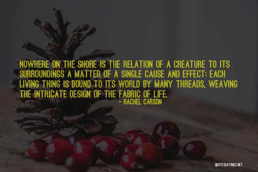 Rachel Carson Quotes 2233742