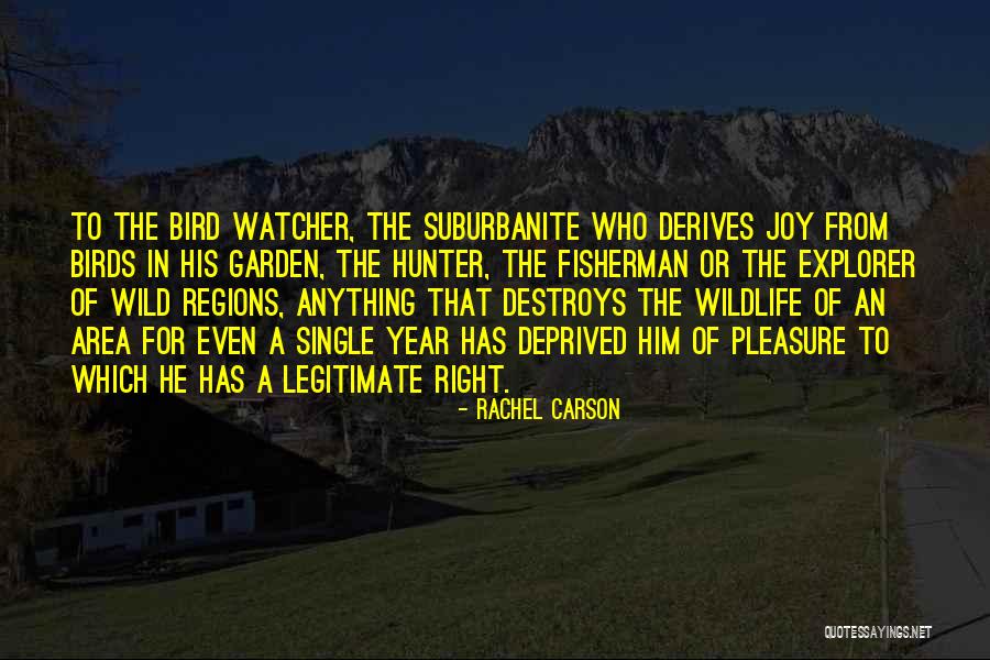 Rachel Carson Quotes 275972 Rachel Carson Quotes 275972