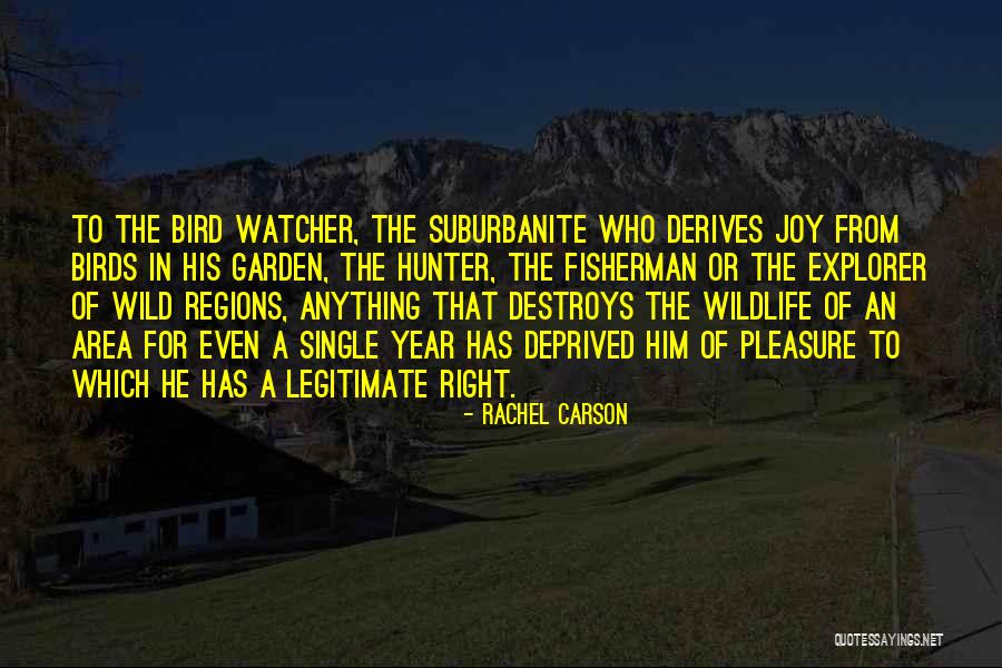 Rachel Carson Quotes 275972