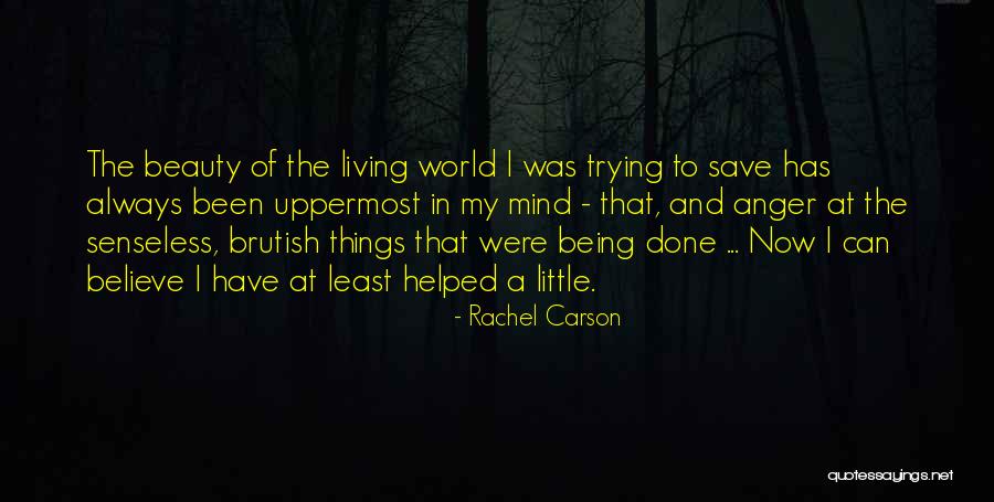 Rachel Carson Quotes 277326 Rachel Carson Quotes 277326
