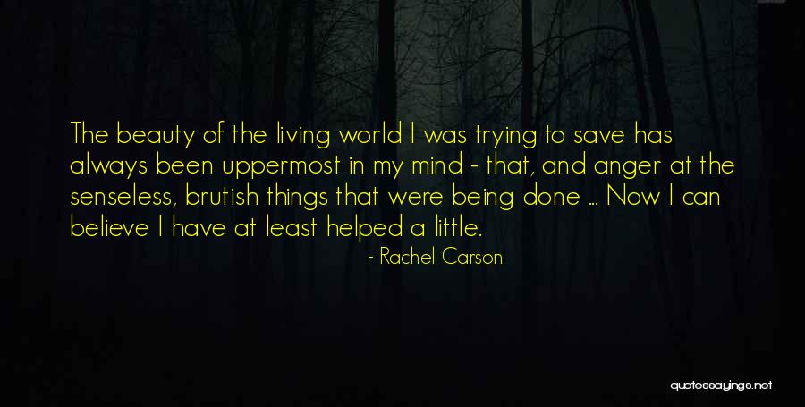 Rachel Carson Quotes 277326