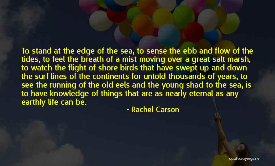 Rachel Carson Quotes 354944 Rachel Carson Quotes 354944