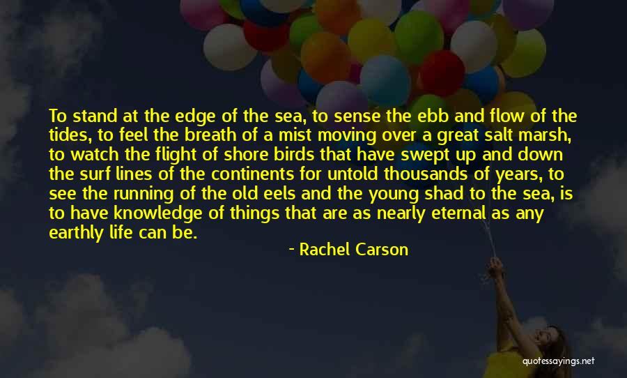 Rachel Carson Quotes 354944