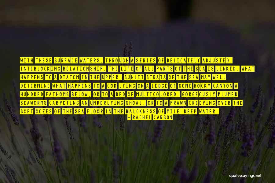 Rachel Carson Quotes 666656 Rachel Carson Quotes 666656