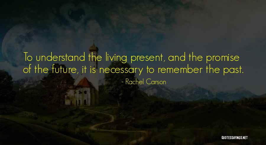 Rachel Carson Quotes 905738 Rachel Carson Quotes 905738