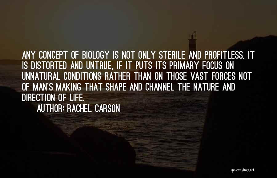 Rachel Carson Quotes 92485