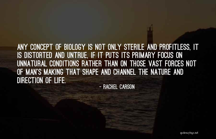 Rachel Carson Quotes 92485