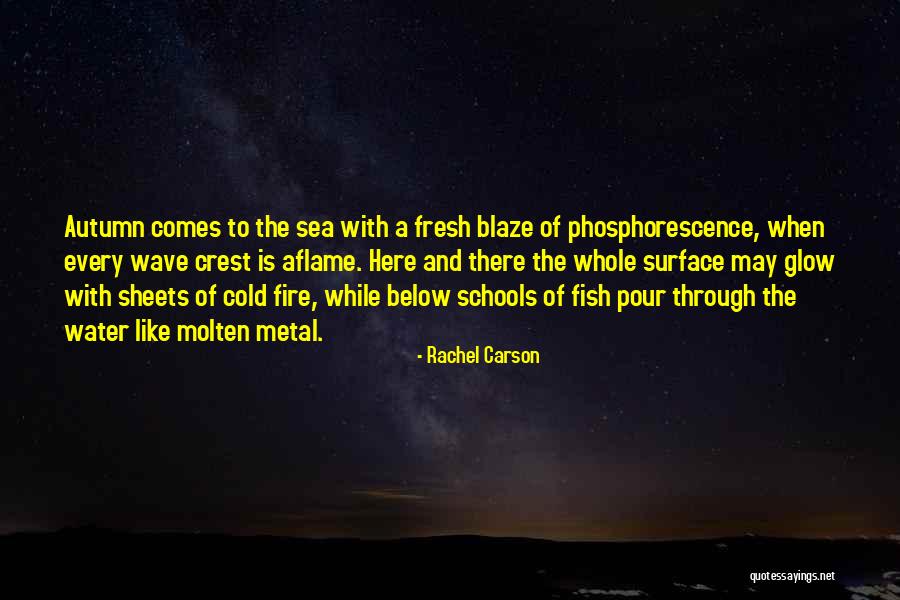 Rachel Carson Quotes 975890