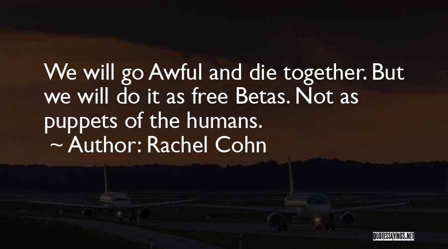 Rachel Cohn Quotes 1474847