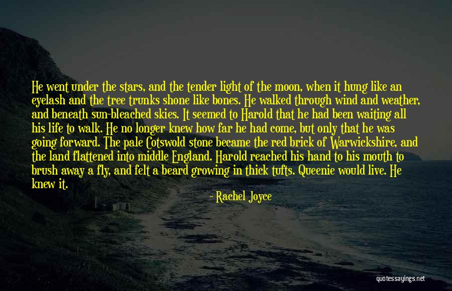 Rachel Joyce Quotes 1711007 Rachel Joyce Quotes 1711007